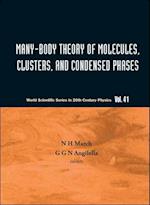 Many-Body Theory of Molecules, Clusters, and Condensed Phases