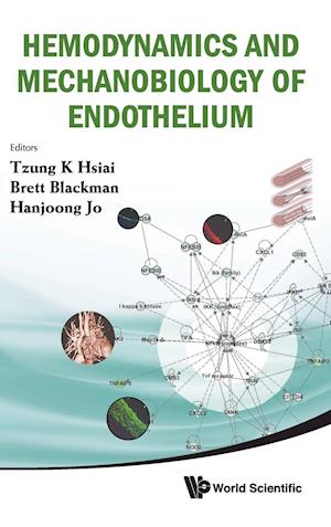 Hemodynamics And Mechanobiology Of Endothelium