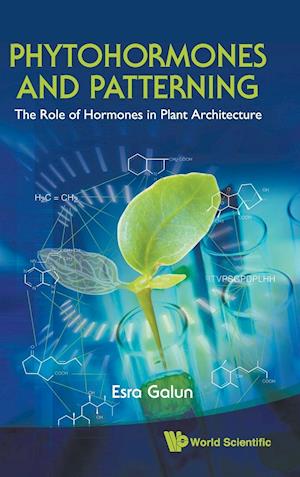 Phytohormones And Patterning: The Role Of Hormones In Plant Architecture