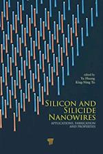 Silicon and Silicide Nanowires