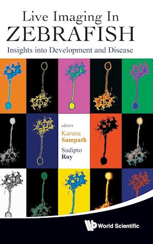 Live Imaging In Zebrafish: Insights Into Development And Disease