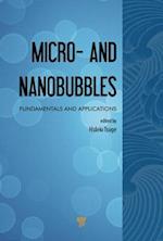 Micro- and Nanobubbles