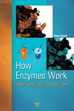 How Enzymes Work