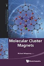 Molecular Cluster Magnets