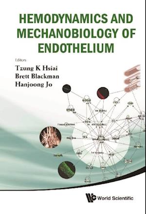 Hemodynamics And Mechanobiology Of Endothelium