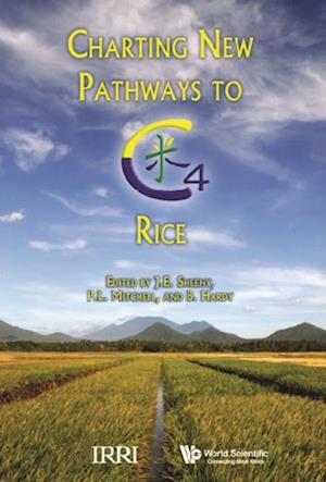 Charting New Pathways To C4 Rice