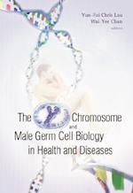 Y Chromosome And Male Germ Cell Biology In Health And Diseases, The