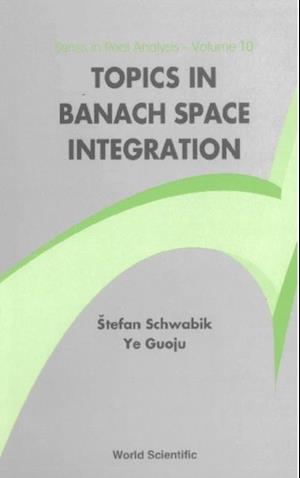 Topics In Banach Space Integration