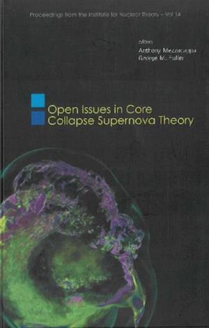 Open Issues In Core Collapse Supernova Theory