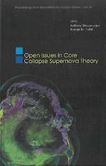 Open Issues In Core Collapse Supernova Theory