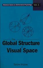 Global Structure Of Visual Space, The