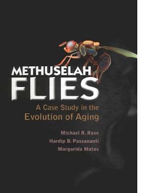 Methuselah Flies: A Case Study In The Evolution Of Aging