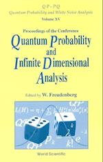 Quantum Probability And Infinite-dimensional Analysis: Proceedings Of The Conference