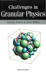 Challenges In Granular Physics