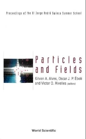 Particles And Fields: Proceedings Of The Xi Jorge Andre Swieca Summer School