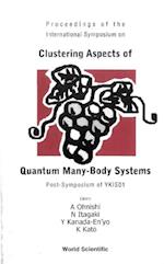 Clustering Aspects Of Quantum Many-body Systems, Proceedings Of The International Symposium On Post-symposium Of Ykis01