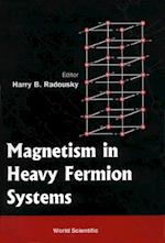 Magnetism In Heavy Fermion Systems