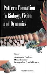 Pattern Formation In Biology, Vision And Dynamics