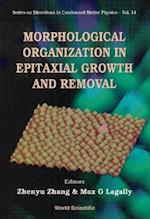 Morphological Organization In Epitaxial Growth And Removal