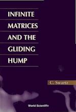 Infinite Matrices And The Gliding Hump, Matrix Methods In Analysis
