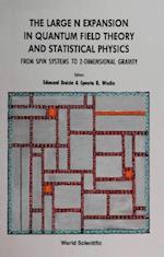 Large N Expansion In Quantum Field Theory And Statistical Physics, The