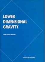 Lower Dimensional Gravity