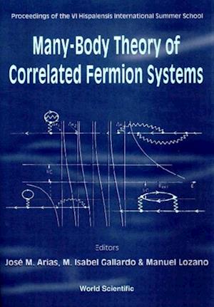 Many-body Theory Of Correlated Fermion Systems - Proceedings Of The Vi Hispalensis International Summer School