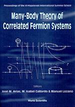 Many-body Theory Of Correlated Fermion Systems - Proceedings Of The Vi Hispalensis International Summer School