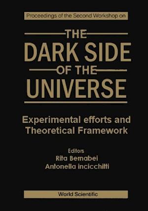 Dark Side Of The Universe, The: Experimental Efforts And Theoretical Framework - Proceedings Of The Second Workshop