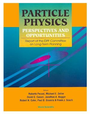 Particle Physics: Perspectives And Opportunities - Report Of The Dpf Committee On Long-term Planning