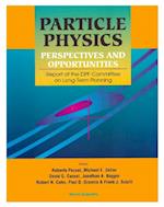 Particle Physics: Perspectives And Opportunities - Report Of The Dpf Committee On Long-term Planning