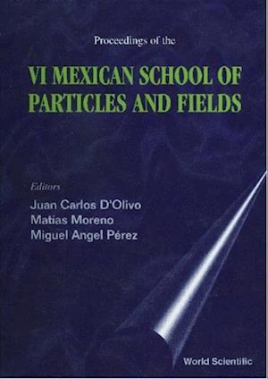 Particles And Fields - Proceedings Of The Vi Mexican School