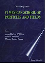 Particles And Fields - Proceedings Of The Vi Mexican School