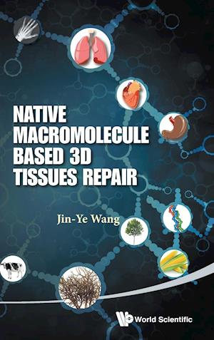 Native Macromolecule-based 3d Tissues Repair