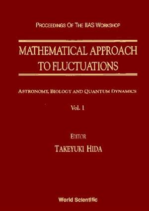 Mathematical Approach To Fluctuations - Proceedings Of The Kyoto Workshop