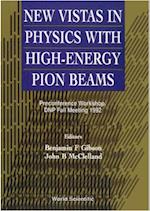 New Vistas In Physics With High-energy Pion Beams - Preconference Workshop, Dnp Fall Meeting 1992