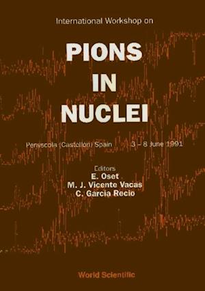 Pions In Nuclei - Proceedings Of The International Workshop