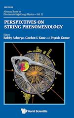 Perspectives On String Phenomenology