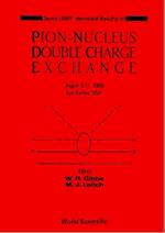Pion-nucleus Double Charge Exchange - 2nd Lampf Workshop