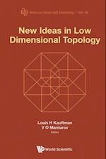 New Ideas In Low Dimensional Topology