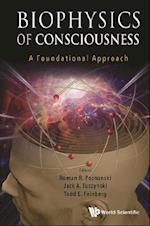 Biophysics Of Consciousness: A Foundational Approach