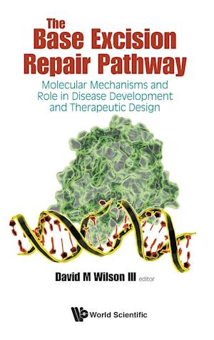 Base Excision Repair Pathway, The: Molecular Mechanisms And Role In Disease Development And Therapeutic Design