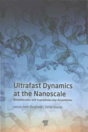 Ultrafast Dynamics at the Nanoscale