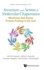 Structure And Action Of Molecular Chaperones: Machines That Assist Protein Folding In The Cell