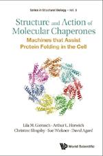 Structure And Action Of Molecular Chaperones: Machines That Assist Protein Folding In The Cell