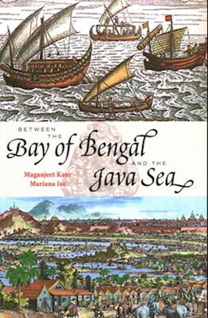 Between the Bay of Bengal and the Java Sea