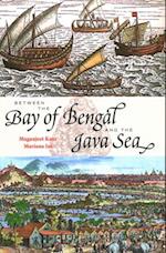 Between the Bay of Bengal and the Java Sea