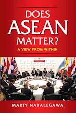 Does ASEAN Matter?