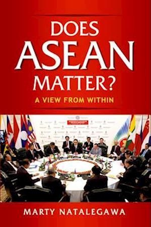 Does ASEAN Matter?