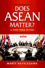 Does ASEAN Matter?